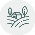 Activities Icon